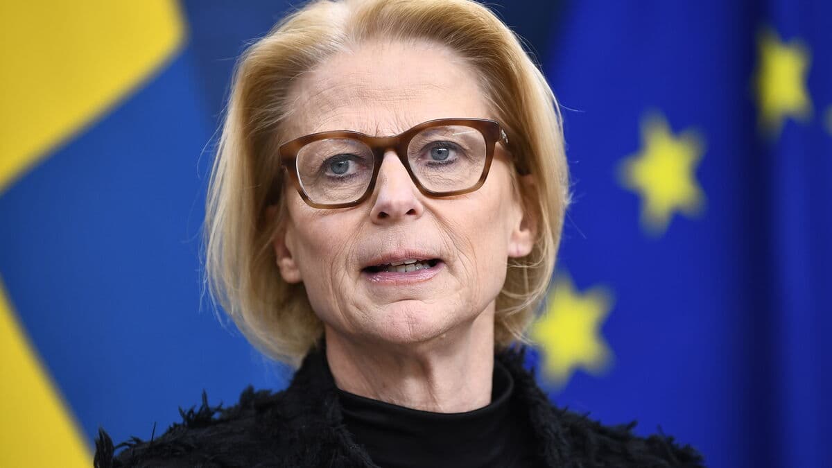 Svantesson calls Trump's tariff threat absurd