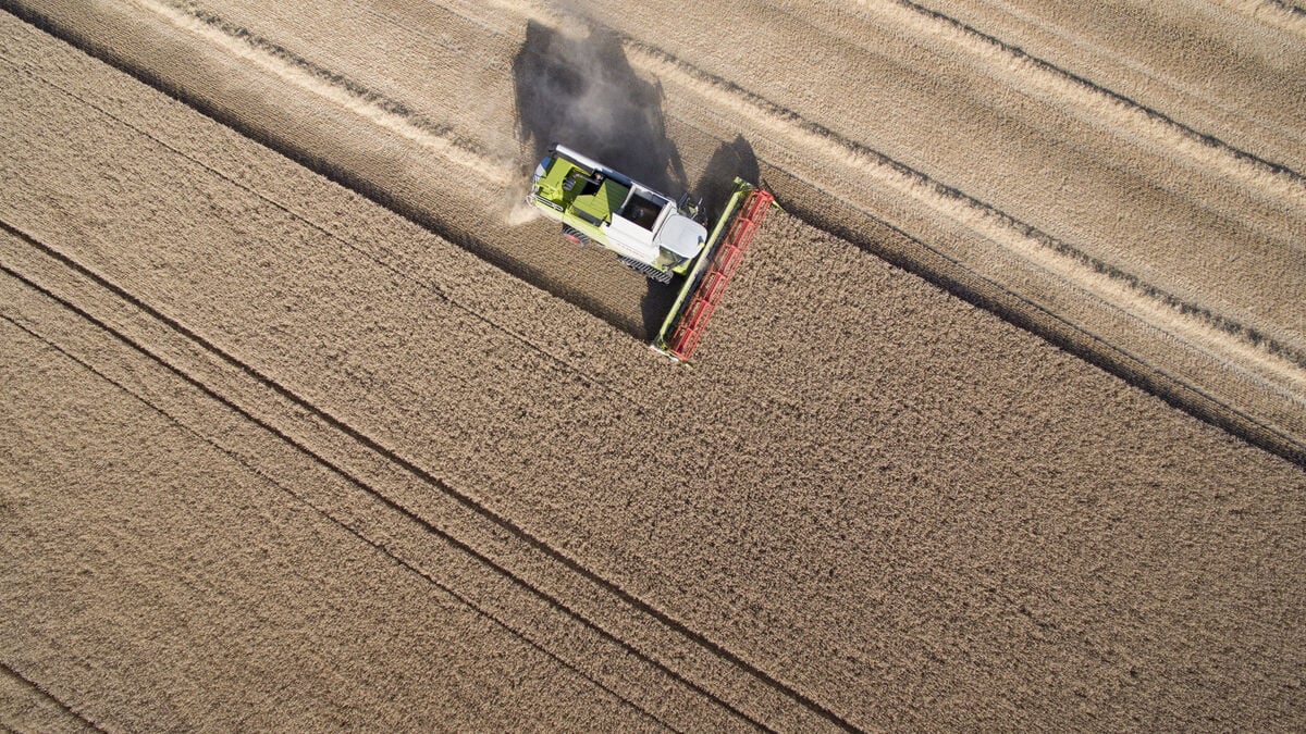 Fertilizer and diesel price shock hits hard-pressed farmers