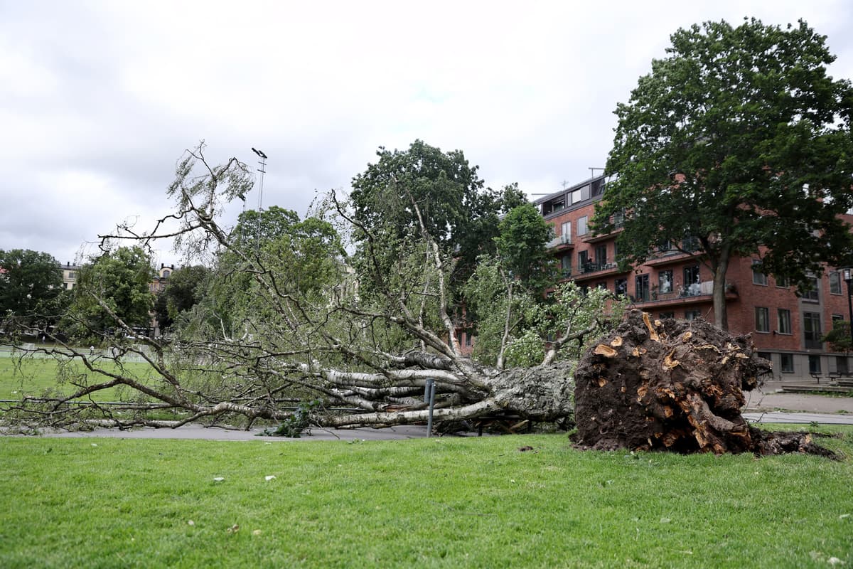 Strong Winds in Stockholm Injure Man and Disrupt Transport