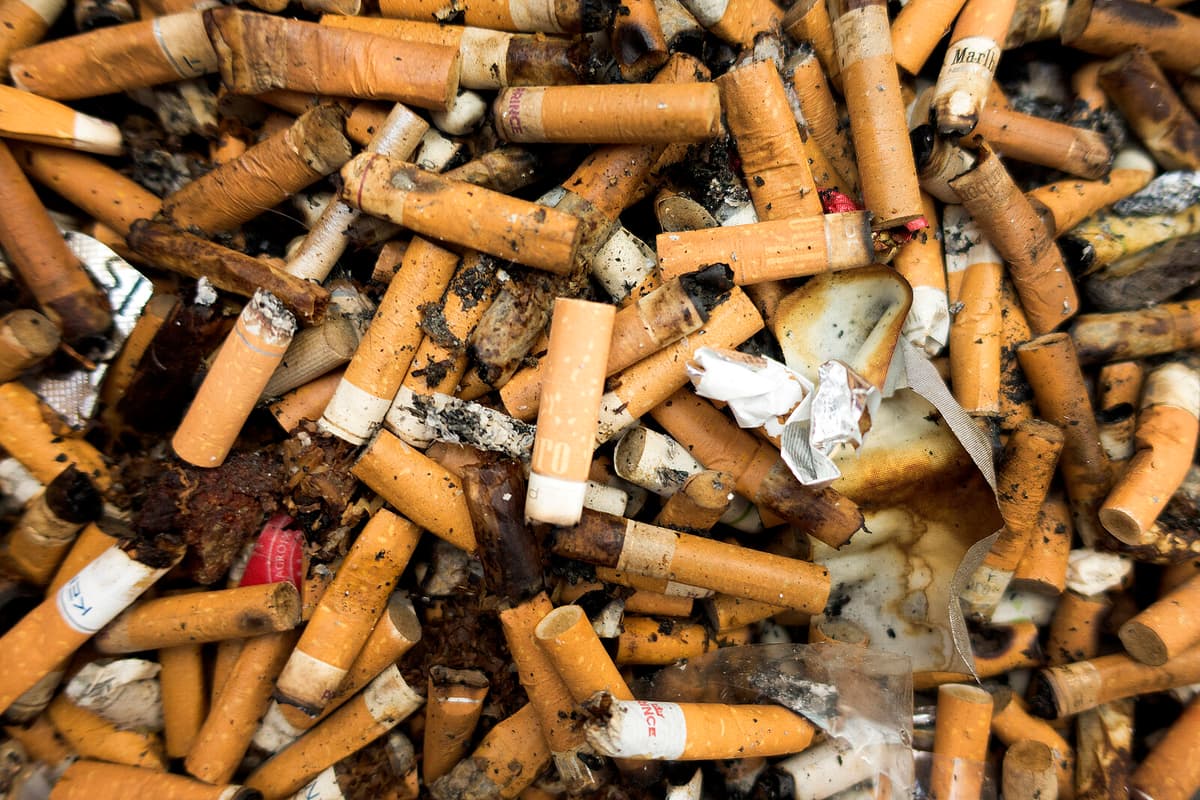 Pepsi Max Litterer Continues to Frustrate Breivikeidet Residents