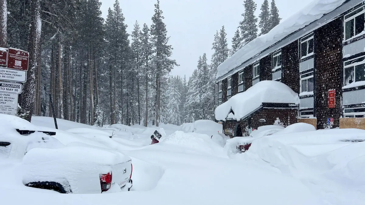 Ninth body found after California avalanche near Lake Tahoe