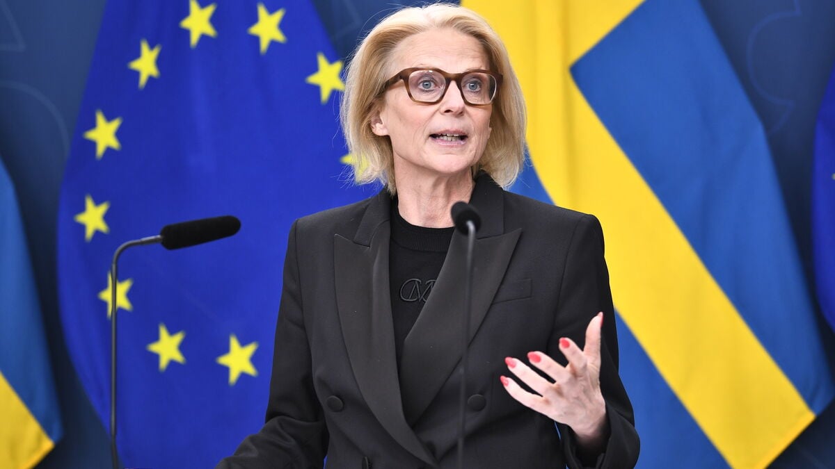 Svantesson defends the support as temporary and targeted