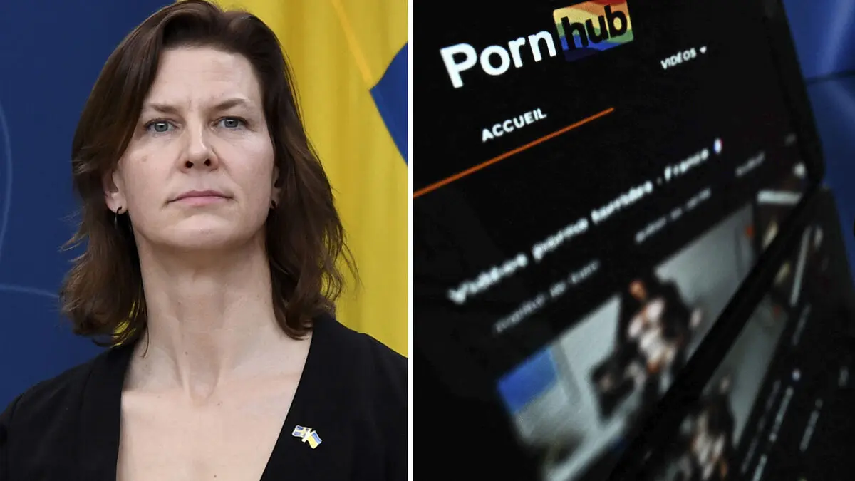 Minister calls for online porn ban