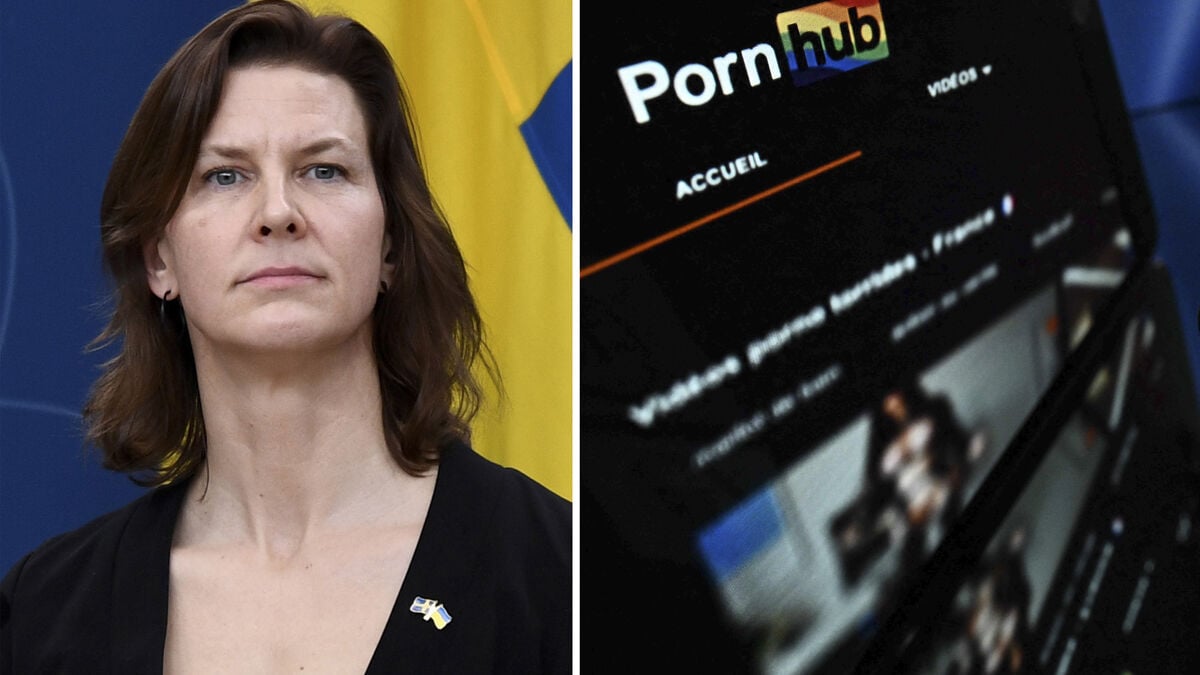 Minister calls for online porn ban