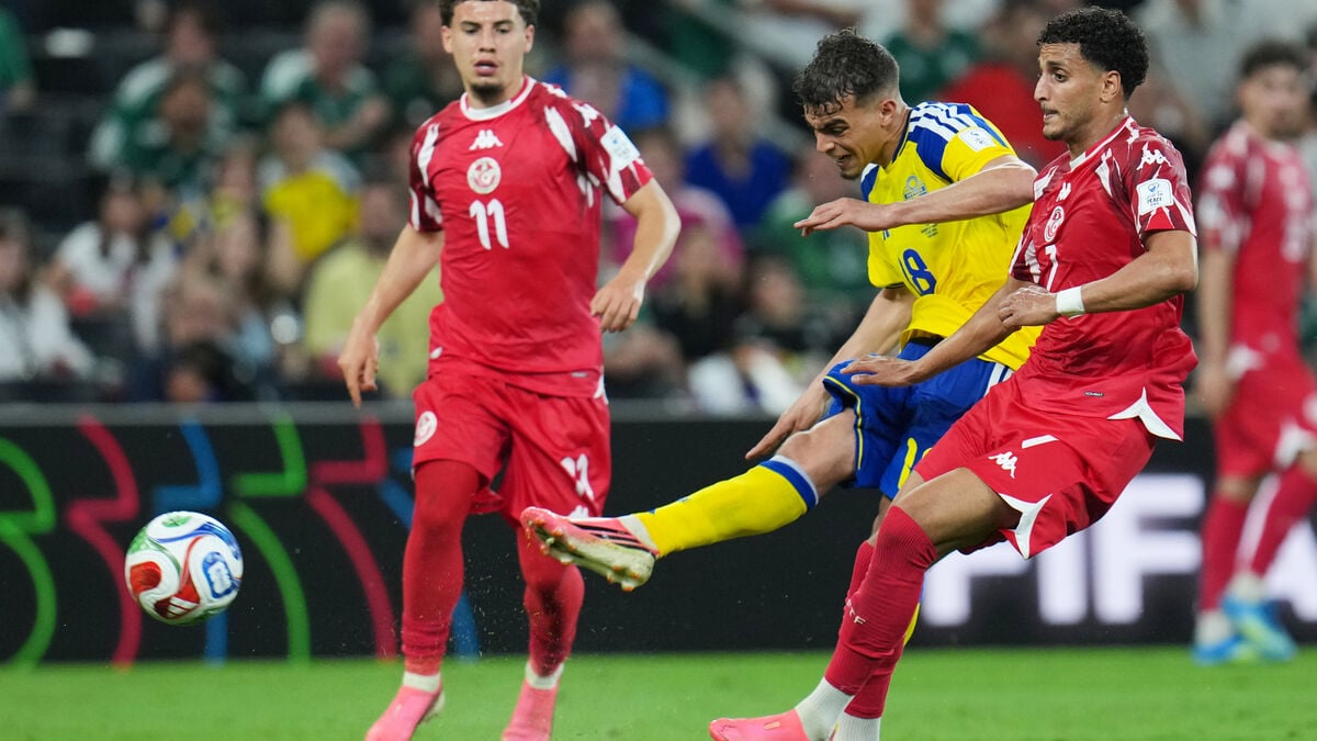 Eight Tunisia World Cup players test positive for banned substance, report says