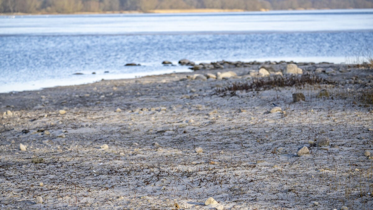 Skåne residents urged to take short showers