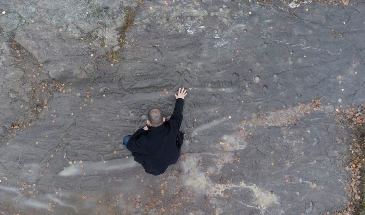 Bronze Age Rock Carvings Discovered in Sweden Using New Technique