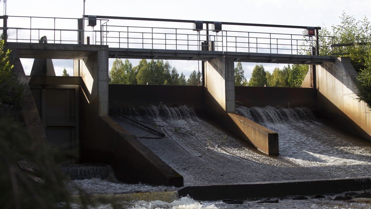 Swedish government opens up for reduced environmental requirements for hydropower