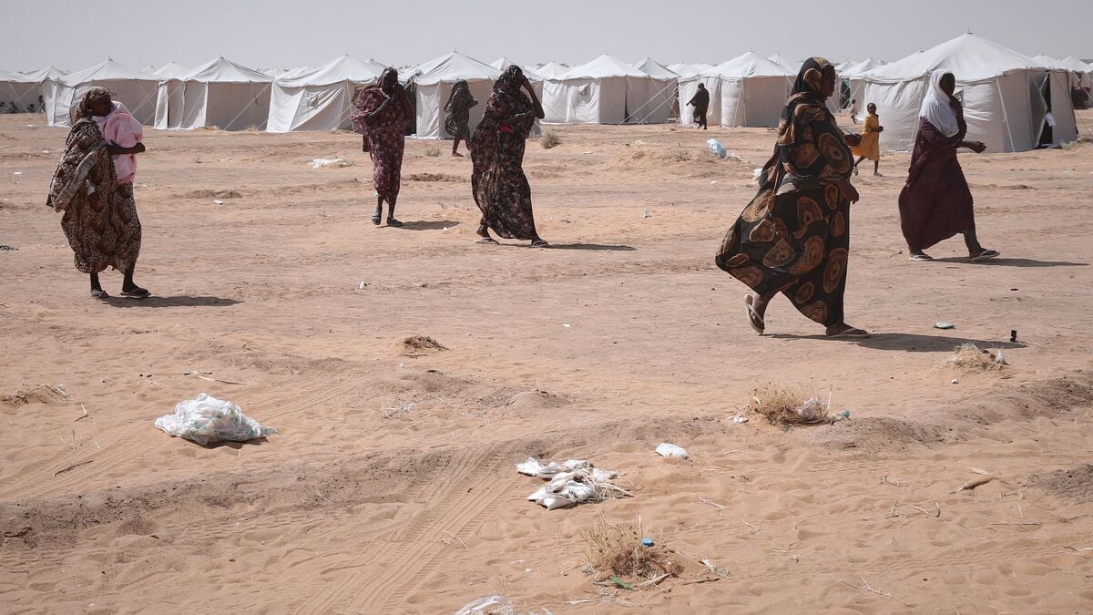 Report: Feared militia uses sexual violence for control in Darfur