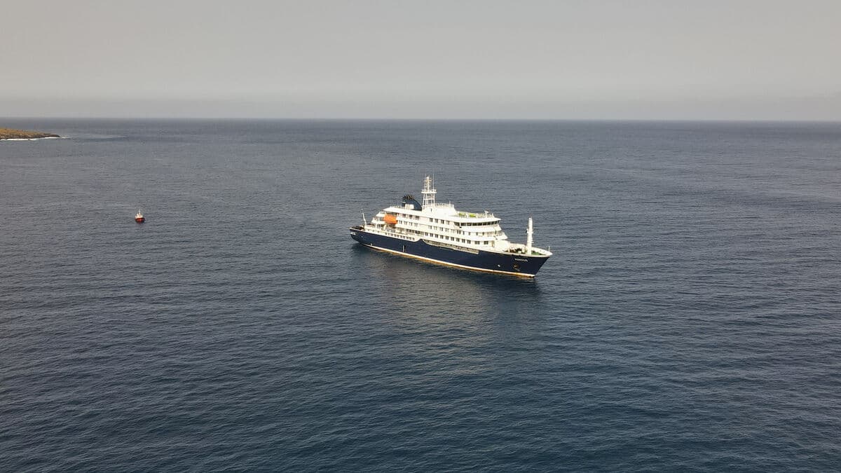 WHO confirms eight hantavirus cases on cruise ship Hondius