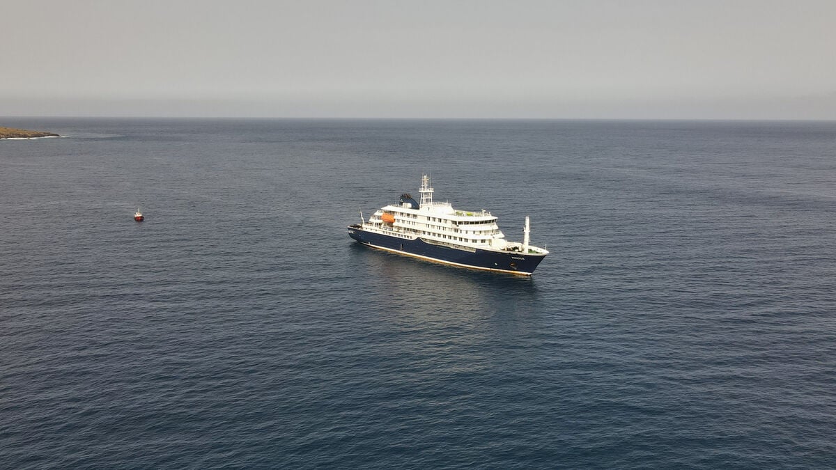 WHO confirms eight hantavirus cases on cruise ship Hondius
