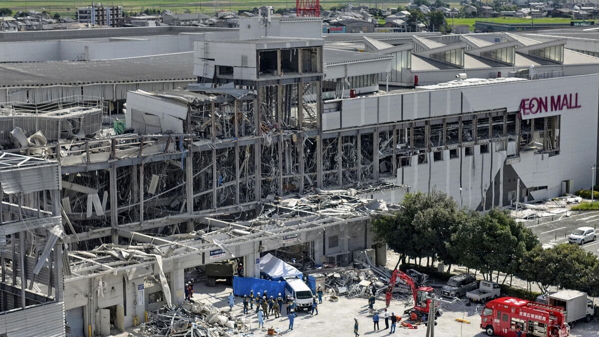 25 cats rescued from collapsed Japanese mall after quake