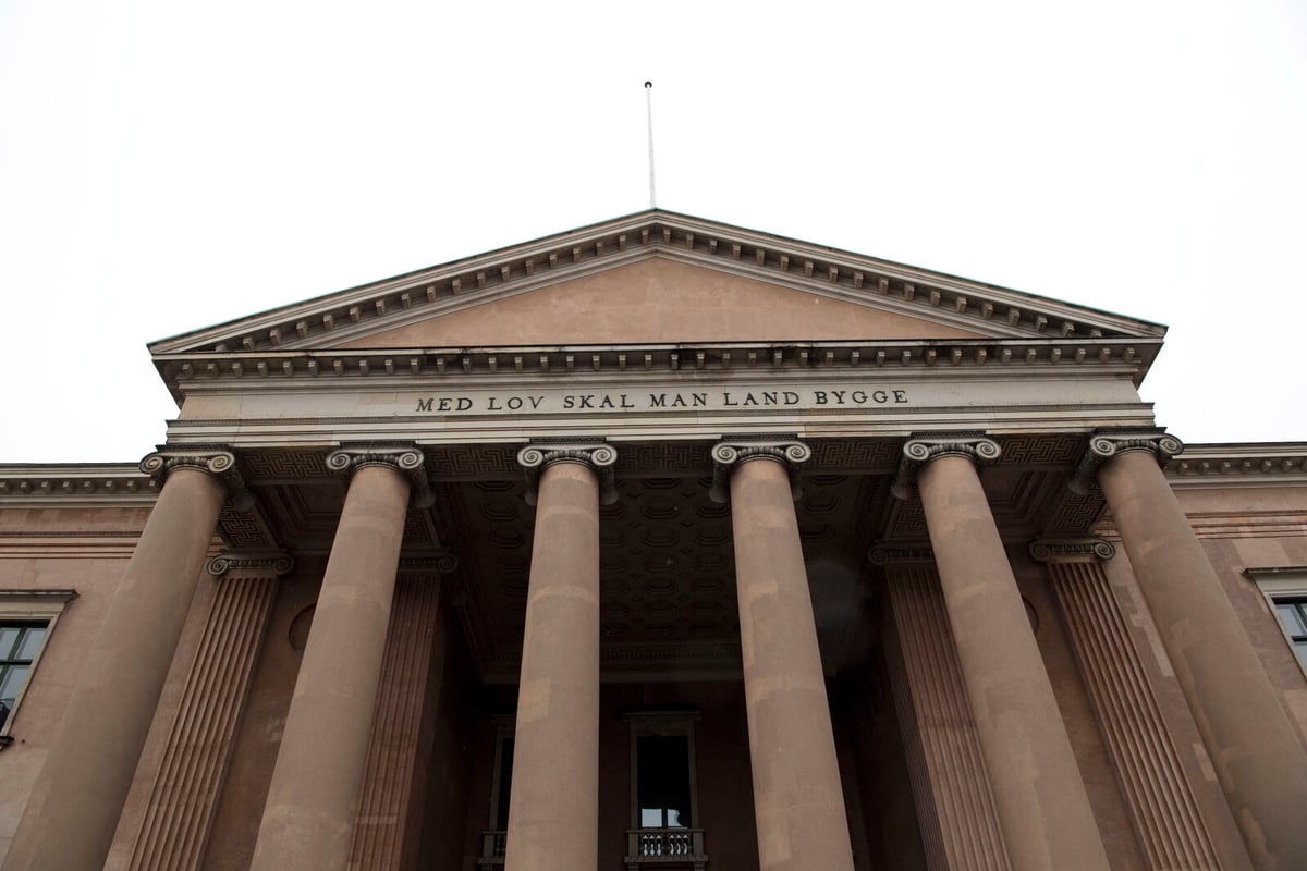 Swedish Man Sentenced to 9 Years for Copenhagen Grenade Attack