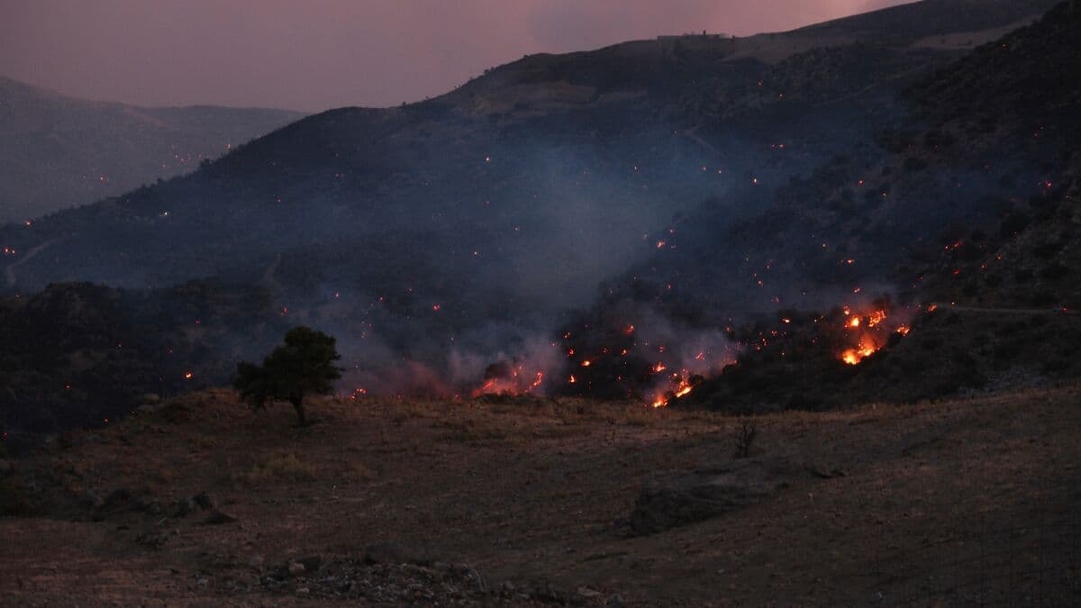 Crete wildfires force thousands to evacuate as fires spread across Greece, France and Spain