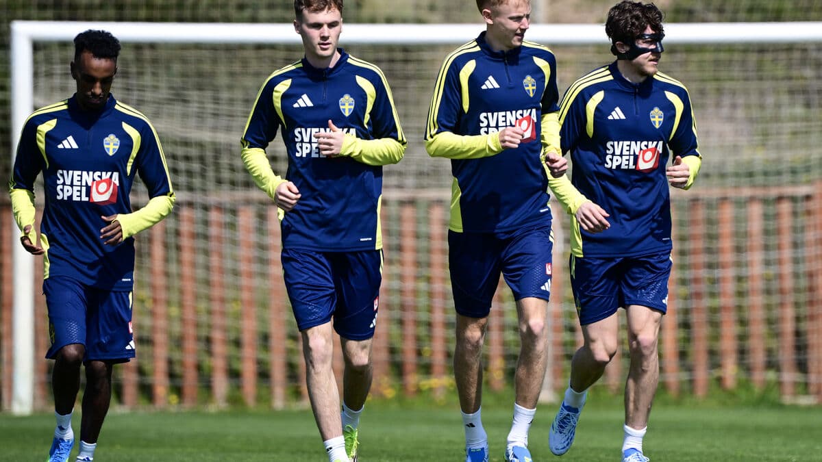 Viewers stunned as one million Swedes may have trouble watching Sweden's World Cup final against Ukraine amid Viaplay and Tele2 dispute