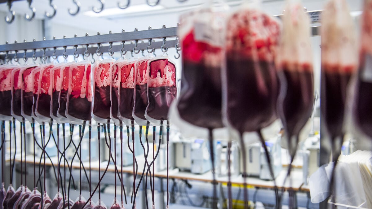 Northern Sweden, Norway and Finland Join Forces to Secure Blood Supplies in a Crisis or War