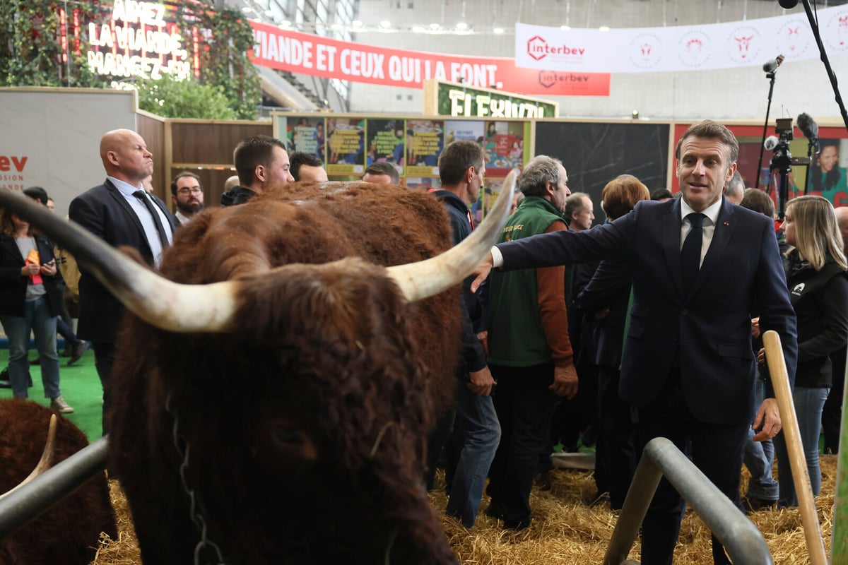 France Sees Record Protest Against Pesticide Law