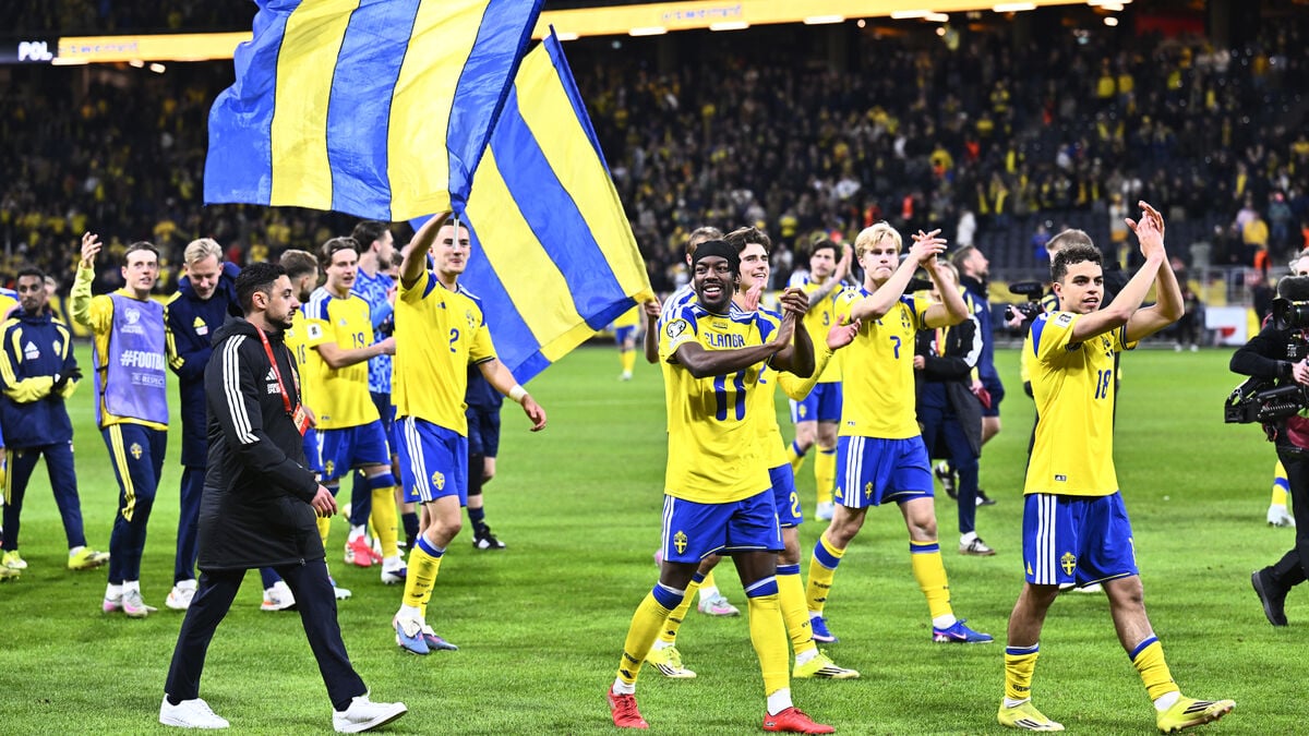 Blue-yellow World Cup game only gives 20 million, Swedish FA demands more