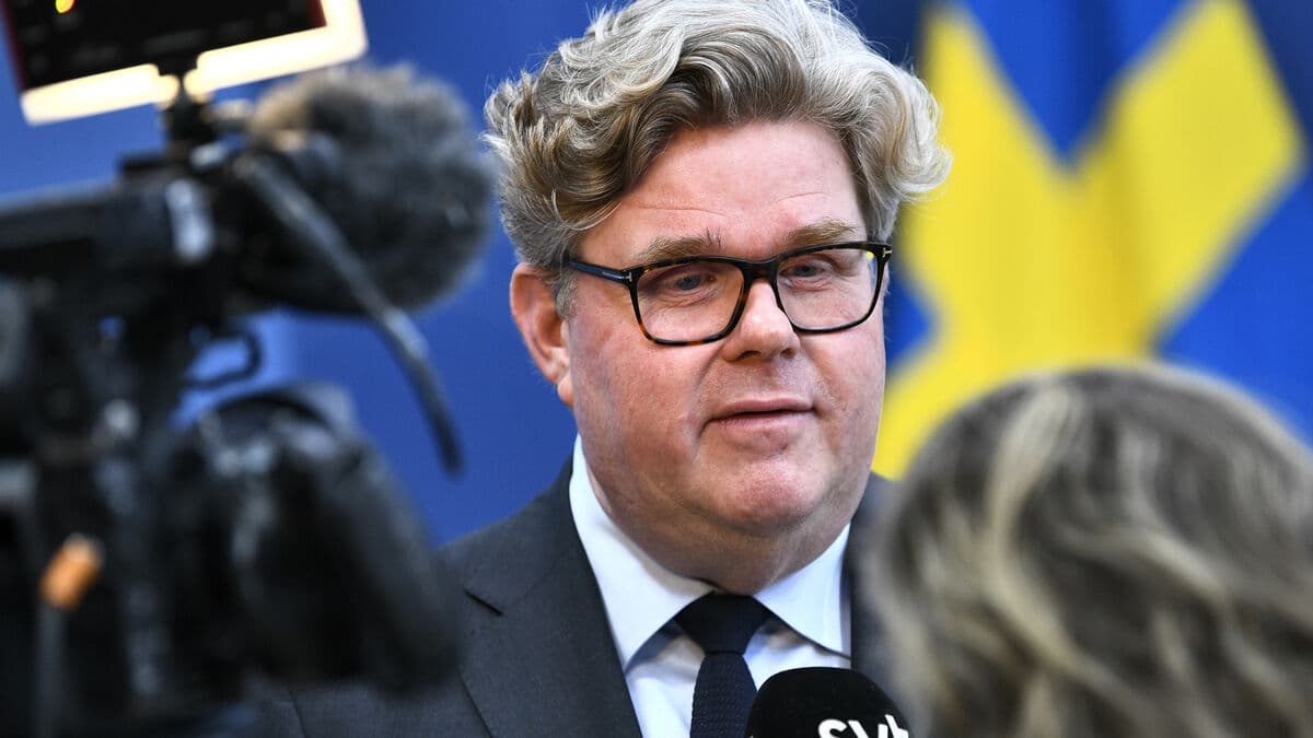 Government and Sweden Democrats propose