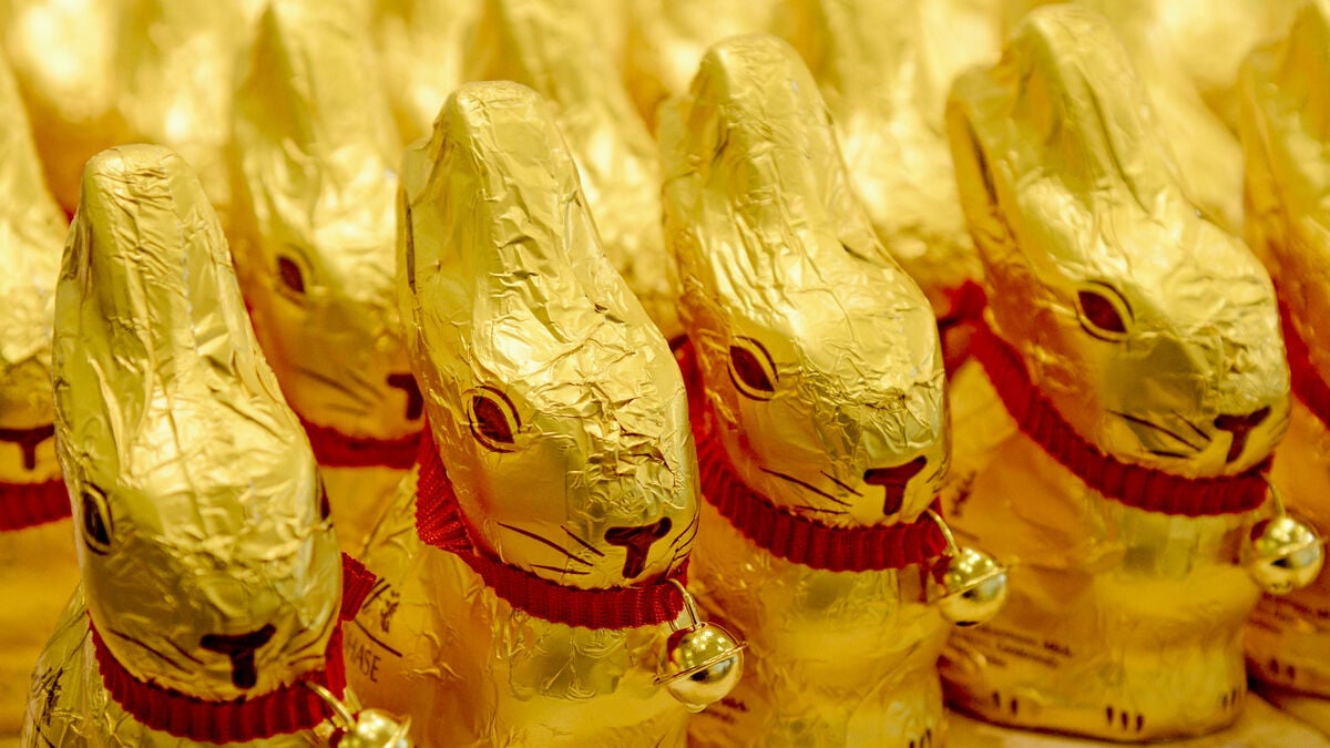 The chocolate bear gives out an unexpected dividend