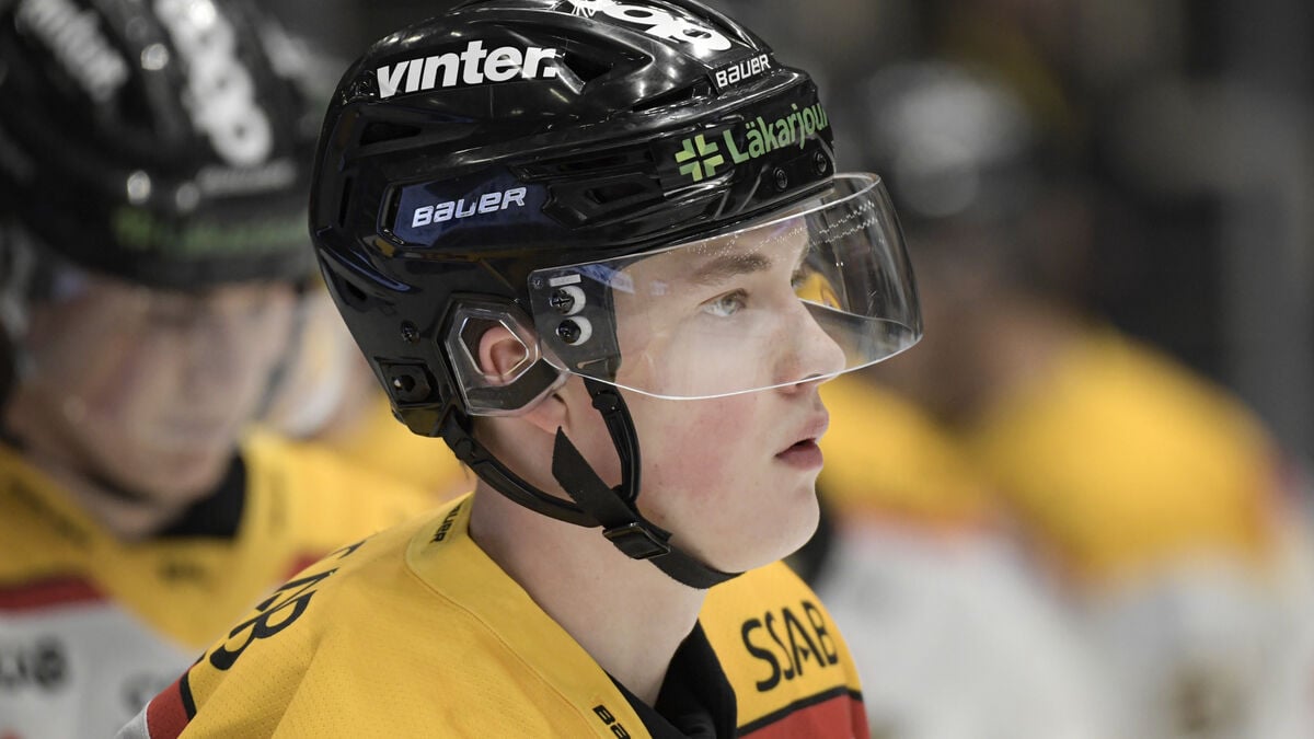 Djurgården’s Noel Gunler Suspended Two Games for Charging Brynäs Goalie Erik Källgren