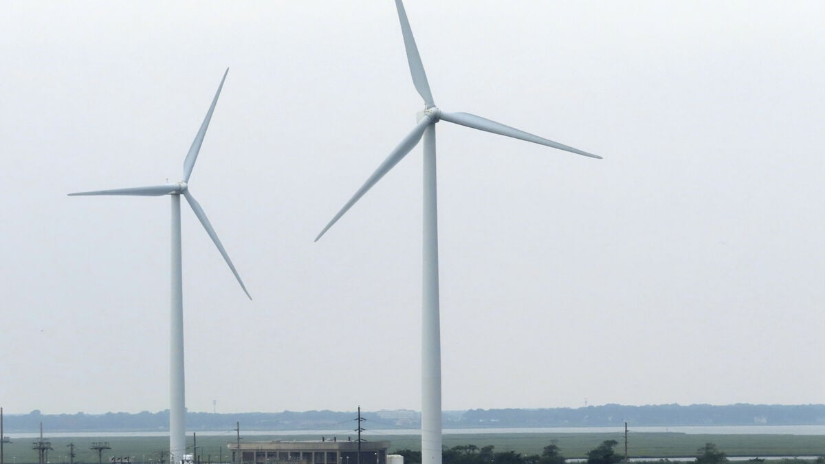 Green energy sector in the US defies Trump as fossil-free electricity reaches record high in 2025