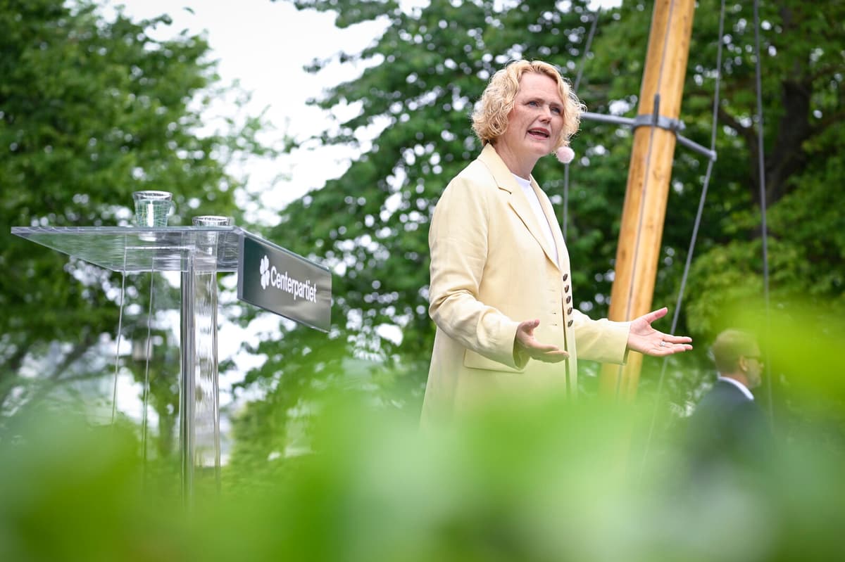 Anna-Karin Hatt Urges New Government to Prioritize Climate Action