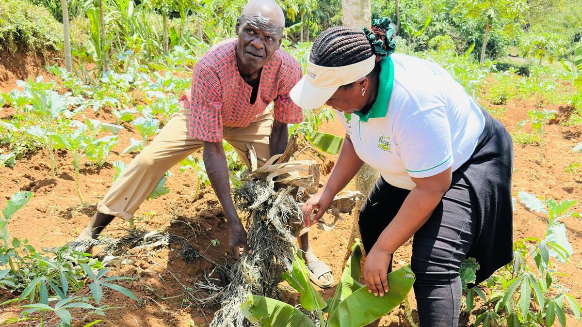 Farmers in East Africa prepare for torrential rains as strong El Niño takes hold