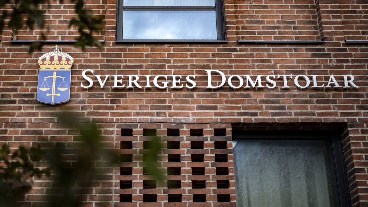 Man Fined for Harassing Malmö Journalist After Gaza Article