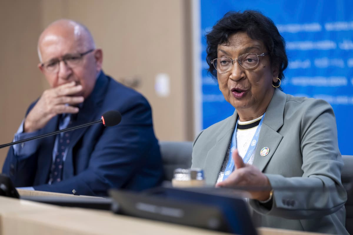 UN Investigator Alleges Genocide by Israel in Gaza Strip