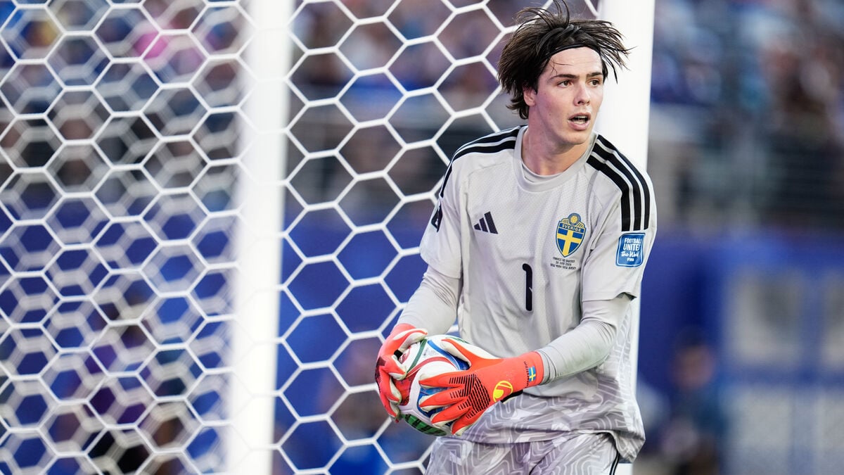 Sweden goalkeeper Jacob Widell Zetterström praised after strong return from injury for Derby