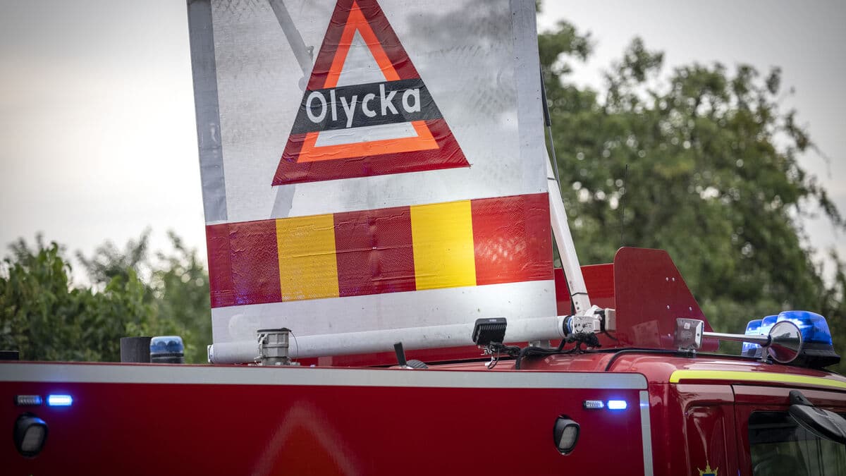 Motorcycle rider dies after colliding with moose in Nässjö municipality
