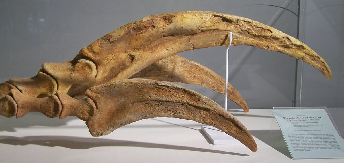 Giant Claw Discovery Reveals New Dinosaur Species in Mongolia