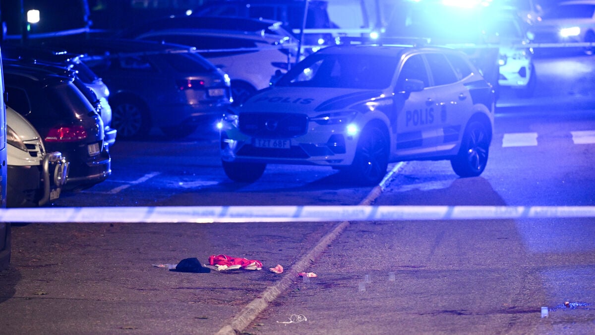 Man Gets Life Sentence for Hagsätra Murder; Four Others Convicted of Related Offences