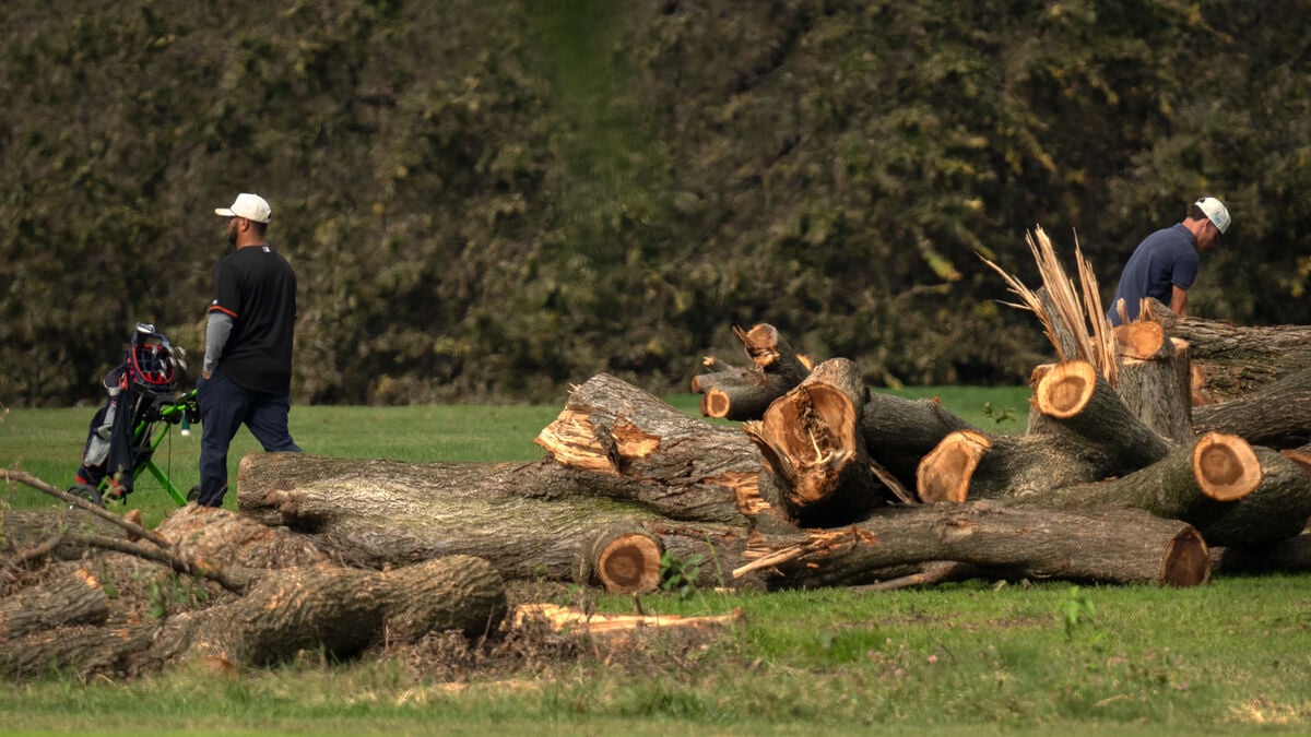Judge halts tree felling at Washington golf course in setback for Trump plans