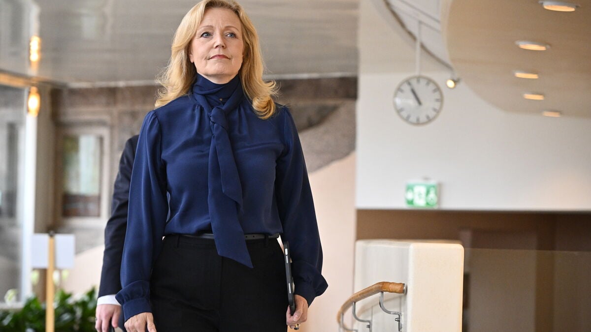Centrist Government in Sweden Is Unlikely but Not Impossible, Professor Says