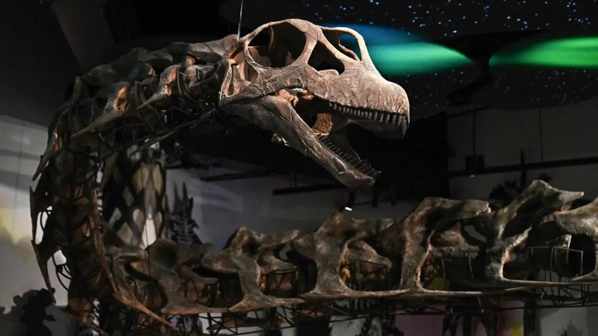 Fossil find: New giant dinosaur identified in Thailand