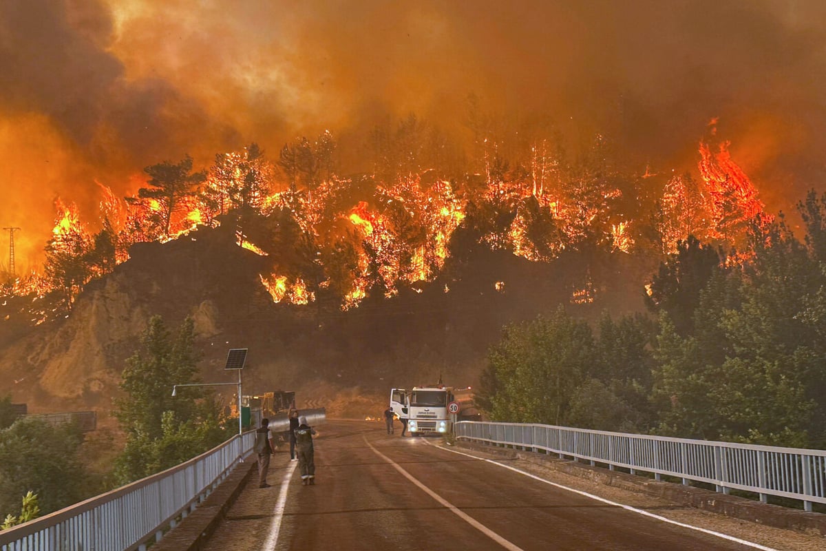 Eleven Forest Workers Killed in Turkey Wildfire Near Eskisehir