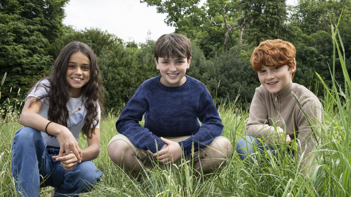 Harry Potter TV series renewed for second season even before new premiere