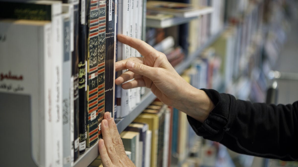 After plagiarism accusations, Piratförlaget stops publication of Among the Wolves