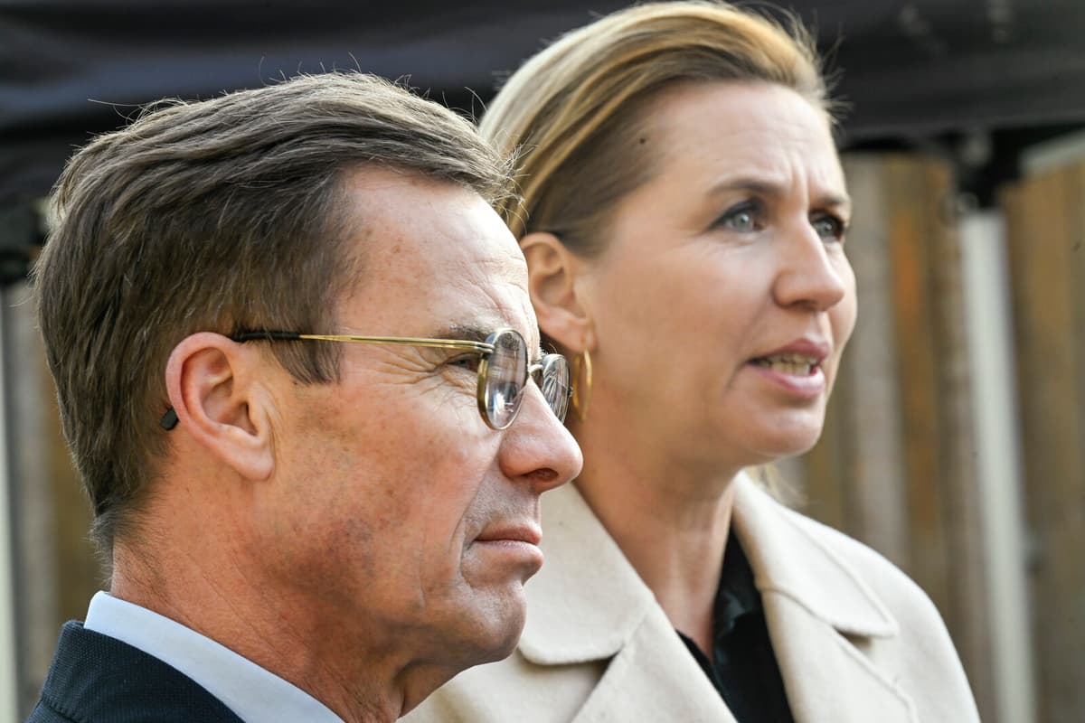 Swedish Soldiers Aid Denmark in Drone Defense During Copenhagen Meetings