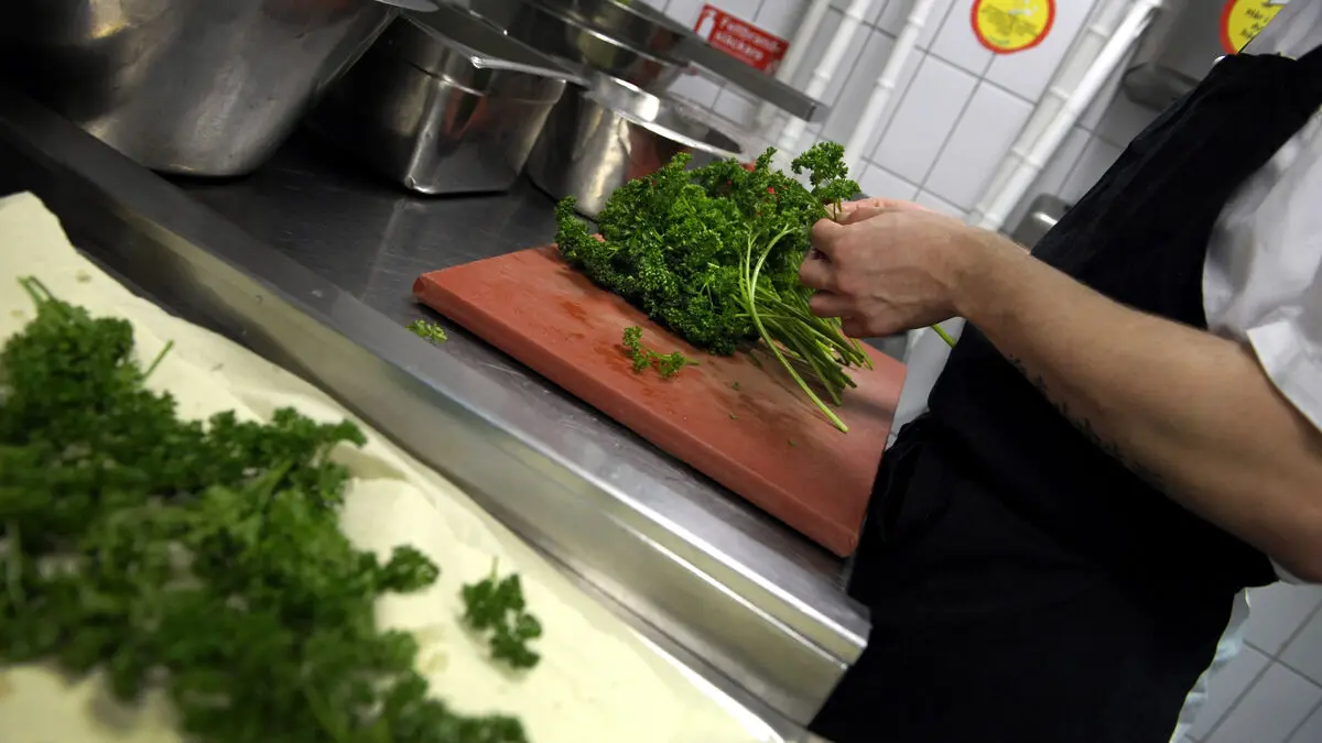 Major shortcomings in issuing Swedish work permits for non-EU/EEA citizens