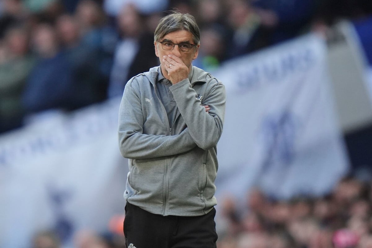 Southampton Parts Ways with Manager Juric After Early Relegation