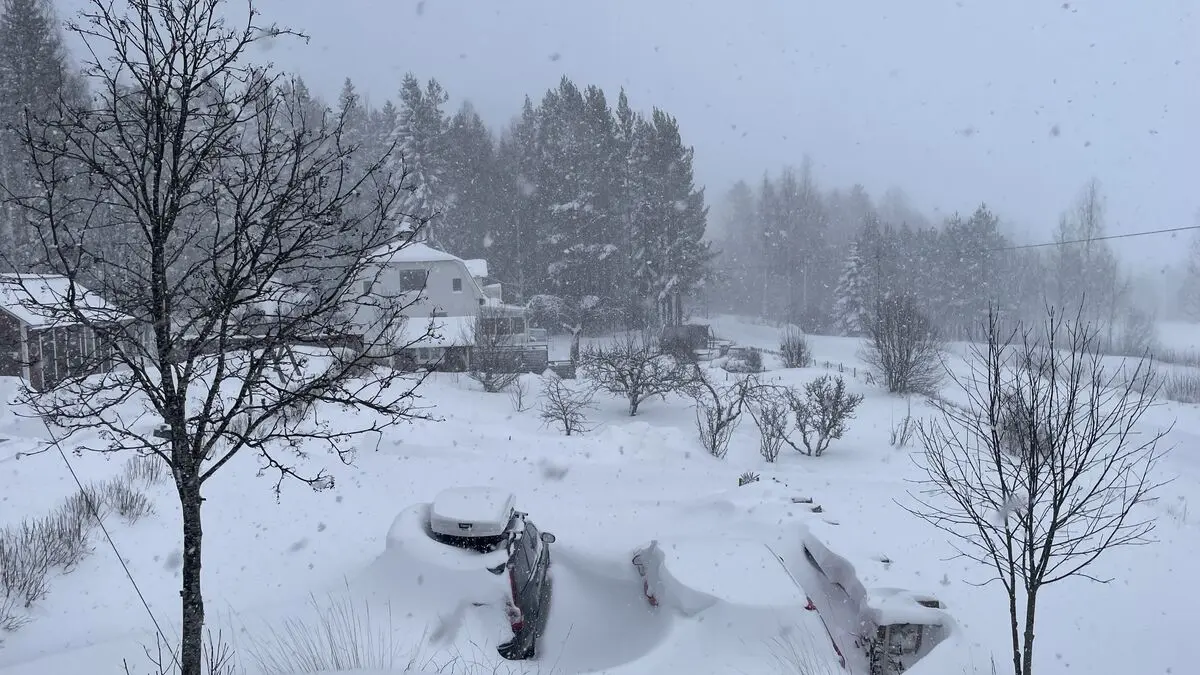 Without power for seven days - most of it has gone to hell