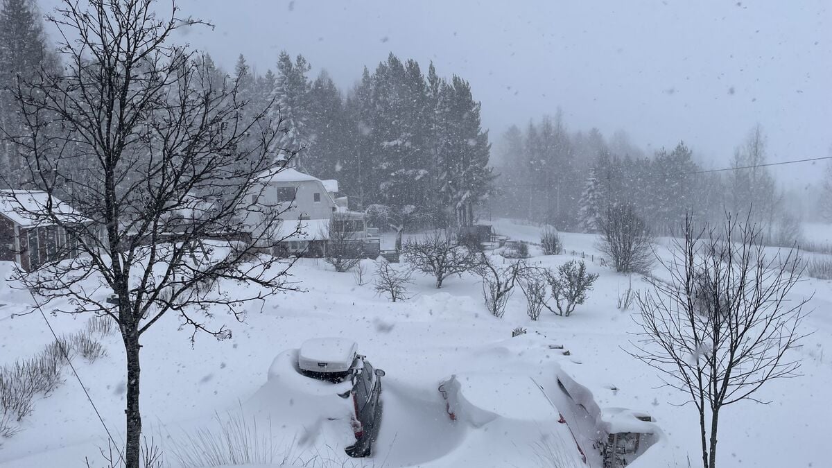 Without power for seven days - most of it has gone to hell