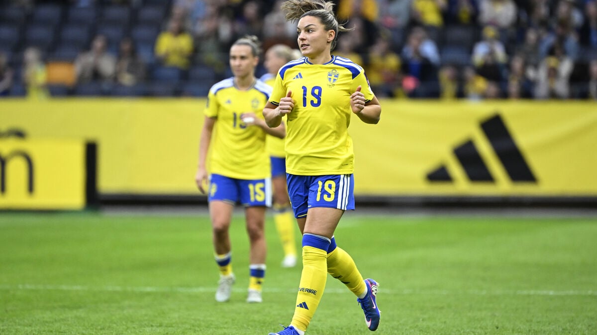 This is how Sweden goes to the World Cup: Want to crush Denmark