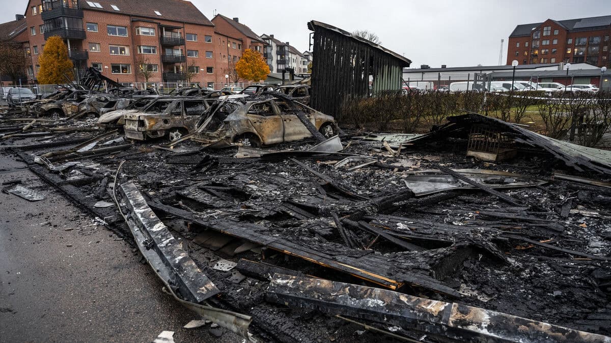Violence-promoting network cheered as 15-year-old burned cars in Ängelholm