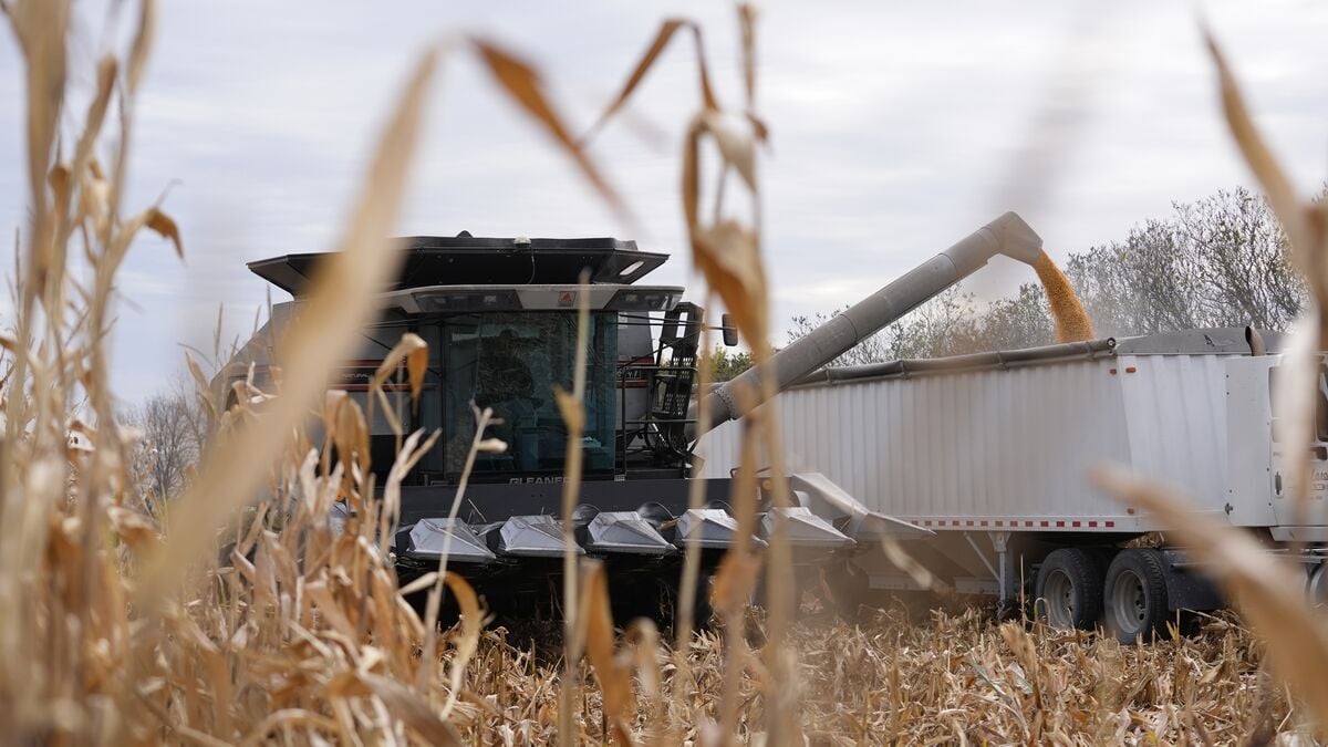 Green Diet and Less Meat Key to Saving the Planet, Report Finds