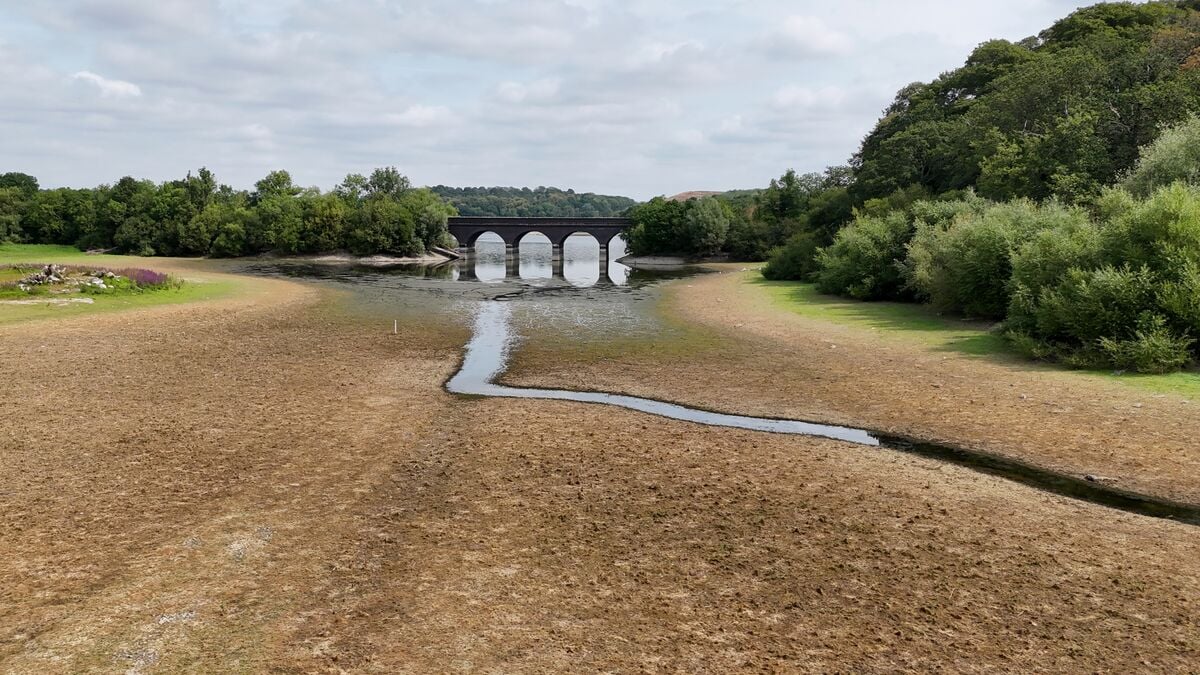 UK faces driest July in 190 years amid heatwave, Met Office says