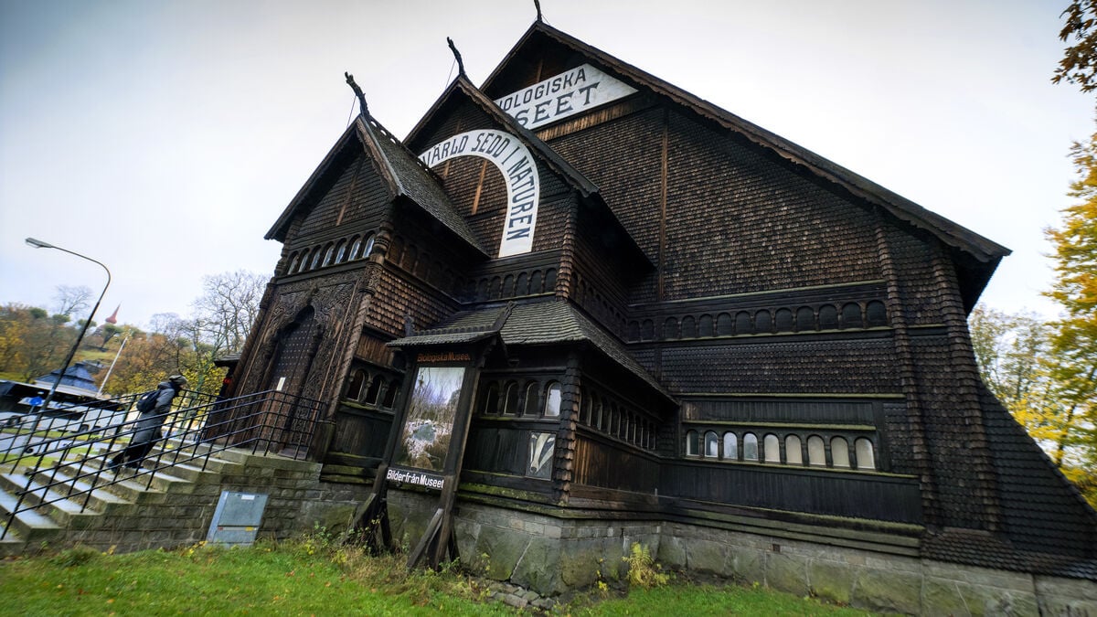 No plan to reopen the Biological Museum in Stockholm
